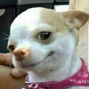 Meet your Posher, Cassidy